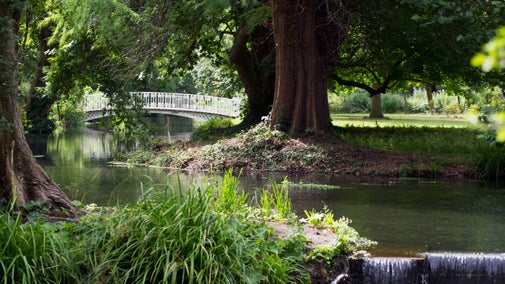 White footbridge spanning a calm river Wandle in a tree-lined Morden Hall Park, surrounded by lush greenery and dappled sunlight.
